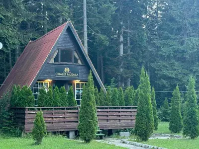 a cabin in the middle of a field with trees at Chalet Musala Borovets by BookVillaBG in Borovets