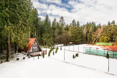 a house in the snow with trees and a building at Chalet Musala Borovets by BookVillaBG in Borovets