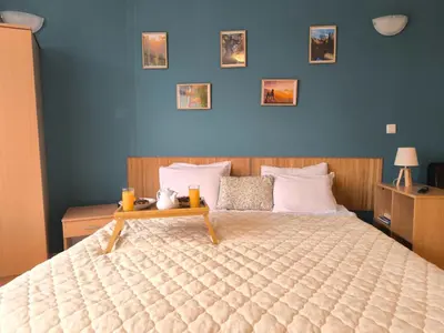 a bedroom with a large bed with a tray on it at Cozy nature stay, free Bottle of good Wine, Great view, free Parking in Bansko
