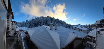 a snow covered roof of a building with trees at Вила 5 - Планински перли in Stoykite