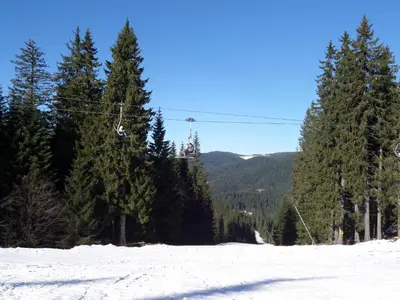 a snowy field with trees and a ski lift at Apartment in Complex Monastery 1 in Pamporovo