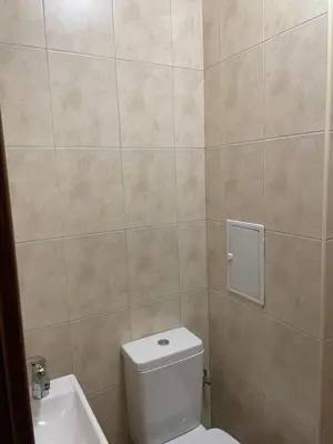 a bathroom with a toilet and a sink at Vessy’s apartment in Smolyan
