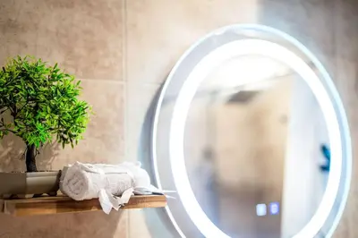 a bathroom with a mirror and a plant on a shelf at Private cozy at Alpin Lodge Studio + SPA Complex in Bansko