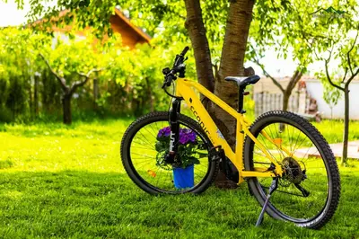 a yellow bike parked in the grass next to a tree at Докторската къща in Sapareva Banya