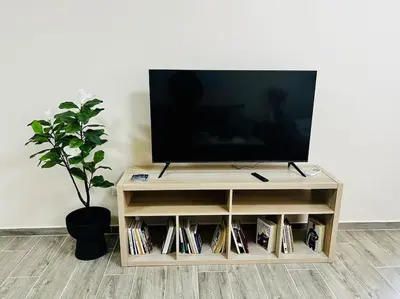 a television on a stand with a potted plant at Malinova Stylish Apartment in Sofia