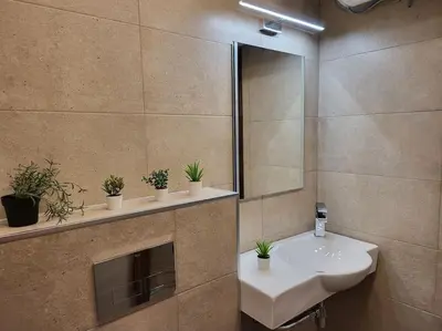 a bathroom with a sink and a mirror and potted plants at Stylish apartment near City, entire flat, 1 bedroom, 1 large bed in living room in Plovdiv