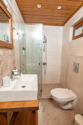 a bathroom with a toilet and a sink and a shower at Apart house EMA 4 in Bansko
