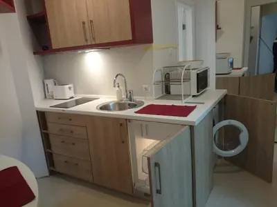 a small kitchen with a sink and a microwave at The Central Post Apartments in Sofia
