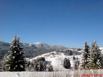 a snowy mountain with trees and mountains in the background at Deluxe Room in Stoykite in Pamporovo