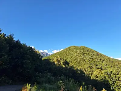 a mountain covered in trees and a road at Стаи за гости Ингилизовата къща in Padala