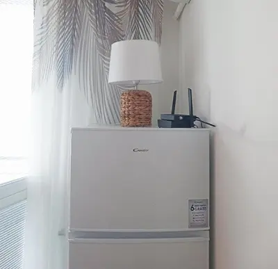 a white refrigerator with a lamp on top of it at Alis Savana in Sofia