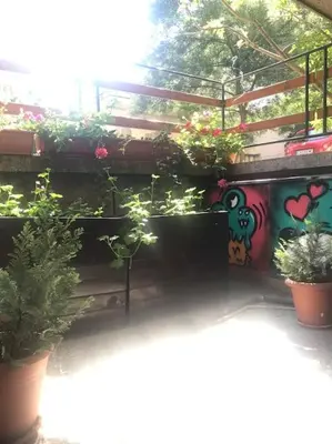 a garden with plants and flowers on a wall at Studio for guests Catherine in Sofia