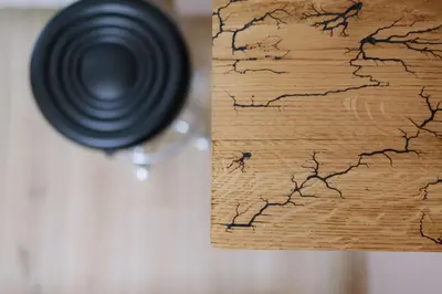 a black beetle on a piece of wood at Top Center Retreat, Close to Main street, FREE Parking in Sofia