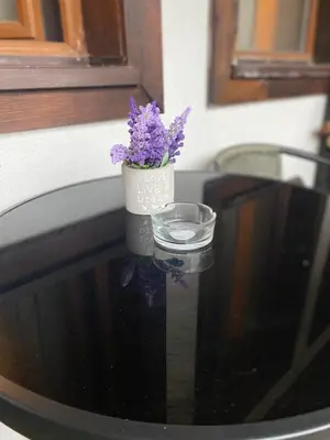 a vase with purple flowers sitting on top of a table at Pamporovo mountain apartment in Pamporovo