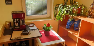 a kitchen with a table with a coffee maker and plants at Private studio in the city center, close to subway, Medical University in Sofia