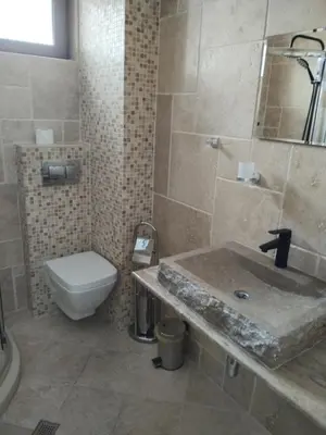 a bathroom with a toilet and a sink and a shower at D Villa in Mineralni Bani