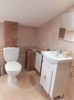 a bathroom with a white toilet and a sink at Sokol i Kalina spa in Pchelin