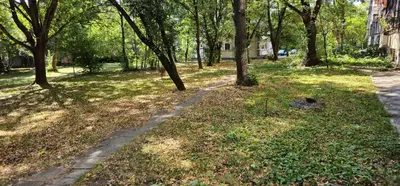 a path in a park with trees and grass at West Park Apartment in Sofia