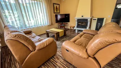 a living room with two couches and a fireplace at Villa Orpheus in Chepelare