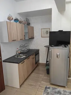 a small kitchen with a sink and a refrigerator at Graf Ignatiev 27 in Sofia