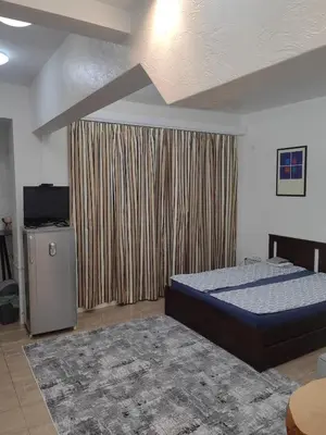a bedroom with a bed and a television in it at Graf Ignatiev 27 in Sofia