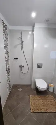 a bathroom with a shower and a toilet in it at Lyana's One Bedroom apartment in Bansko