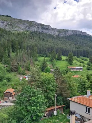a view of a mountain with trees and houses at Katerci in Trigrad
