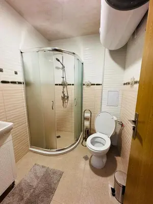 a bathroom with a shower and a toilet at Shtastliveca Guest Apartment in Velingrad