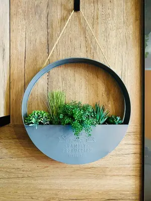 a circular planter with plants in it on a wall at Shtastliveca Guest Apartment in Velingrad