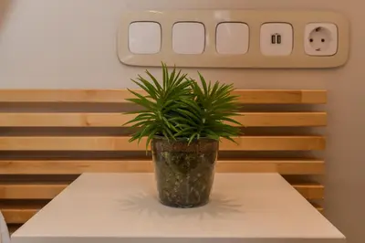 a potted plant sitting on top of a table at Elegant 1BD Stay on Ekzarh Yosif, Sofia by Flat Mаnager in Sofia