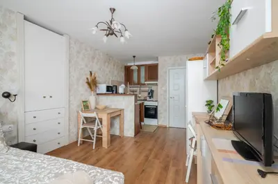 a small kitchen and living room in a apartment at Vitosha Boulevard Studio in Sofia