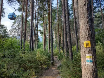 a gondola ride in a forest with a sign on a tree at apartment Serenity, Bansko in Bansko