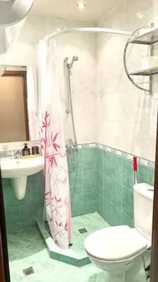 a bathroom with a shower and a toilet and a sink at Bojurland Apartment, Bansko in Bansko
