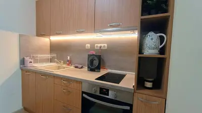a small kitchen with a sink and a stove at Kandahar Private Apartments in Bansko
