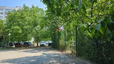 a basketball hoop attached to a fence with trees at Cozy Boho small apartment in Sofia