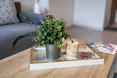 a table with a vase with a plant on it at Cozy 1BR in Heart of Oborishte with Private Parking in Sofia