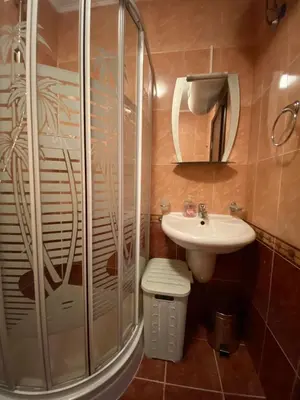 a bathroom with a shower and a sink at Hill Top Studio Apartments in Bansko