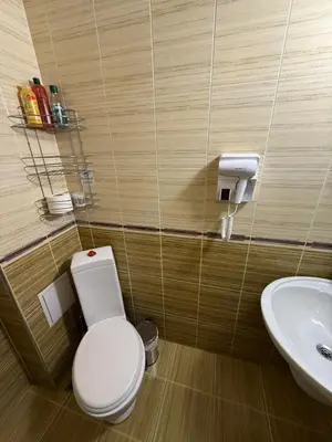 a bathroom with a toilet and a sink at Mountain Heaven Retreat with free Bottle of Wine close to Gondola, free Parking in Bansko