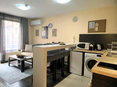 a kitchen and living room with a sink and a stove at Mountain Heaven Retreat with free Bottle of Wine close to Gondola, free Parking in Bansko