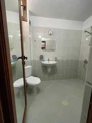 a bathroom with a toilet and a sink at Къща за гости ФЪН ШУЙ 88 in Dobrinishte
