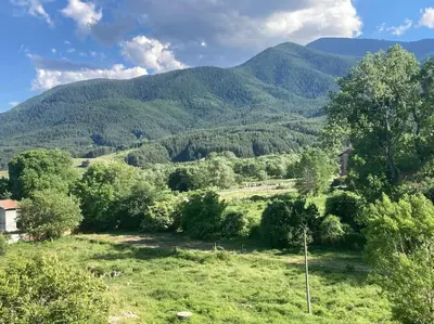 a field with trees and mountains in the background at Ruhig in den Bergen Bulgariens in Bansko