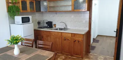 a kitchen with a sink and a microwave at Къща за гости Кралимаркови Guest house Kralimarkovi in Devin