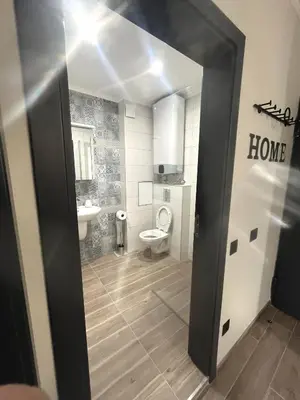 a bathroom with a toilet and a sink at goHOME Plovdiv-apartments and studio in Plovdiv