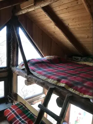 a bed in a wooden room with windows at Books Houses in Beden