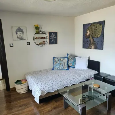 a bedroom with a bed and a glass table at Boutique house in Devin