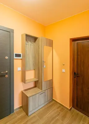 a bathroom with a shower and a wooden door at Relax Apartment in Sofia