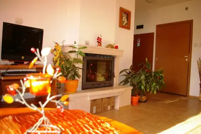 a living room with a fireplace and a tv at Nevena Apartments in Bansko