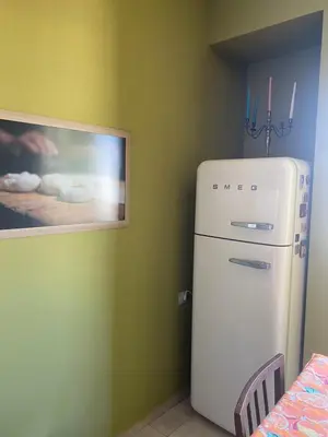 a white refrigerator in a room with a picture at ART-ament, a unique central flat in Sofia