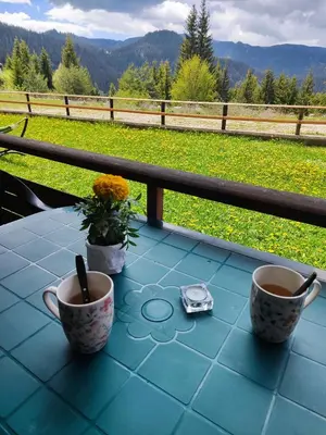 two cups on a table with a view of a field at Panorama Stoykite Belvedere in Stoykite
