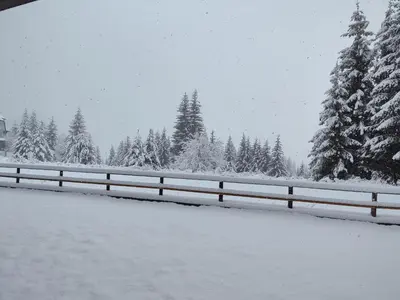 a fence covered in snow in front of trees at Panorama Stoykite Belvedere in Stoykite